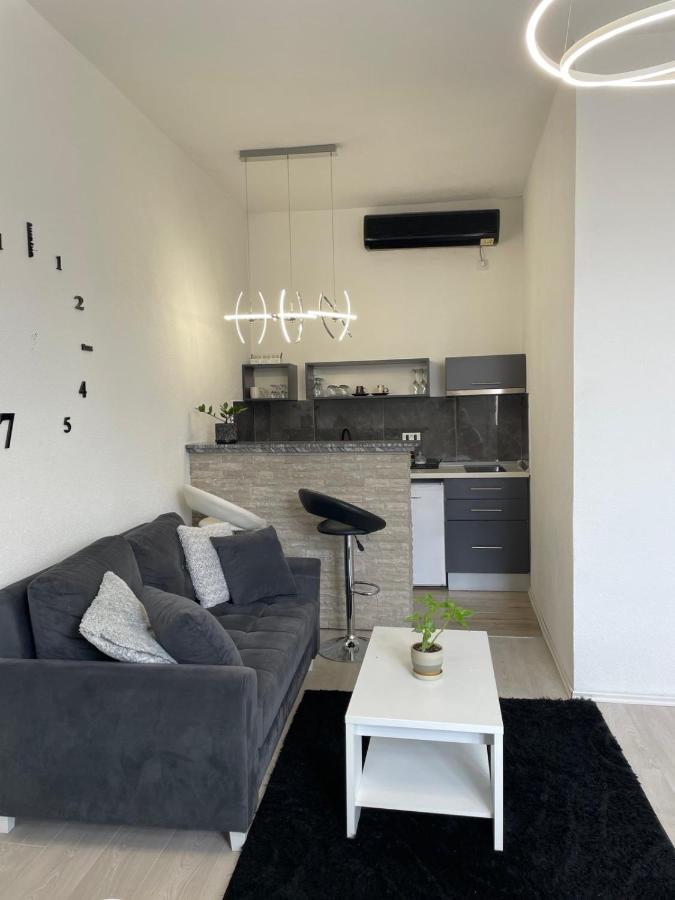 Apartmani Andric トレビニエ エクステリア 写真