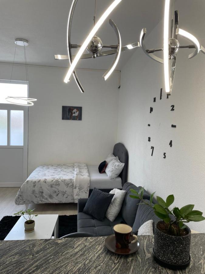 Apartmani Andric トレビニエ エクステリア 写真