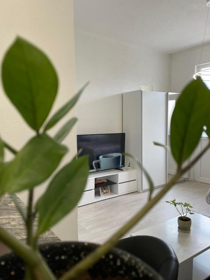 Apartmani Andric トレビニエ エクステリア 写真