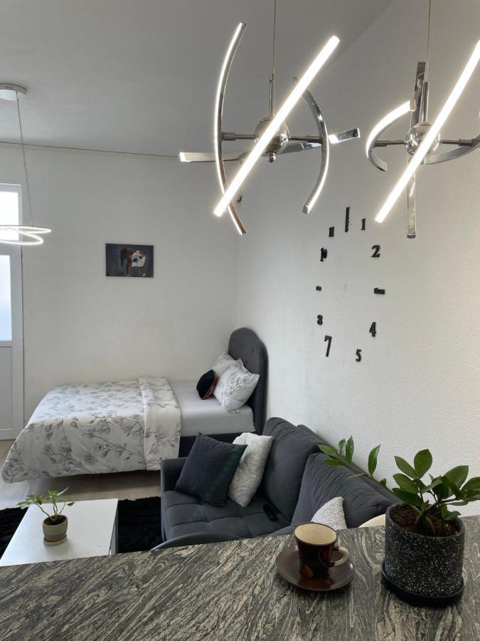 Apartmani Andric トレビニエ エクステリア 写真